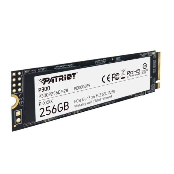 P300P256Gm28 Wr 02