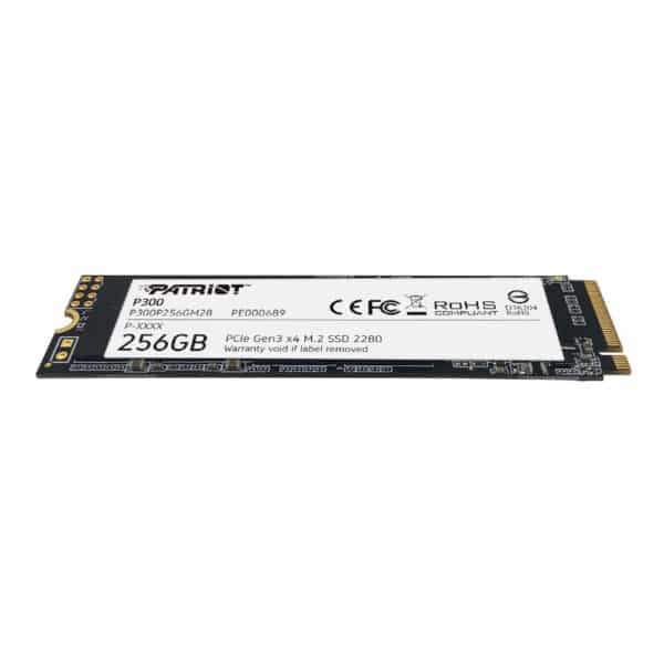 P300P256Gm28 Wr 01.Jpg
