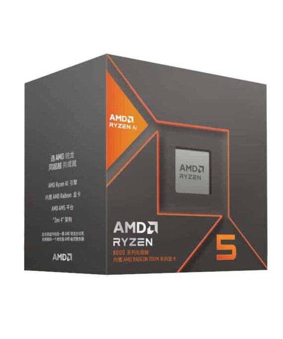 100 100001237BOX wr 01