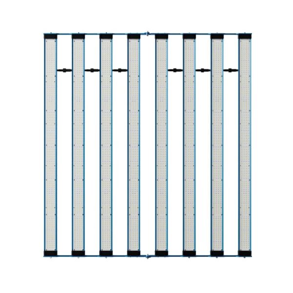 P55 800W 281B Uv Ir Wr 02A