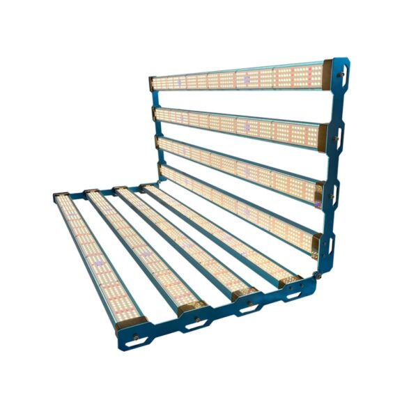 P55 800W 281B Uv Ir Wr 04A