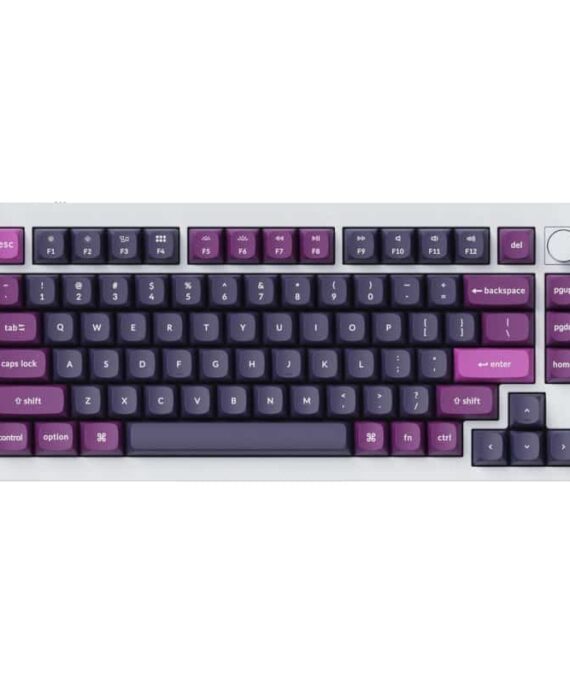 PBT 54 wr 03