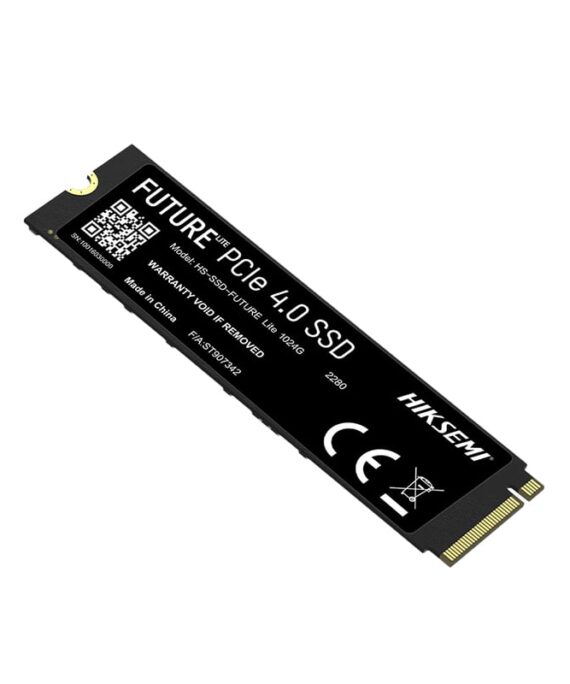 HS SSD FUTURE L 1024G wr 3 1.jpg
