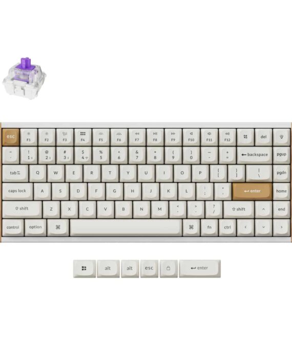 Keychron K2 HE Wireless Special Edition Magnetic Custom Keyboard | NEBULA Switch – White