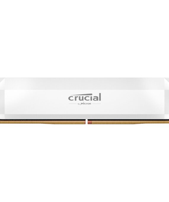 Crucial CP32G64C40U5W wr 01a.jpg