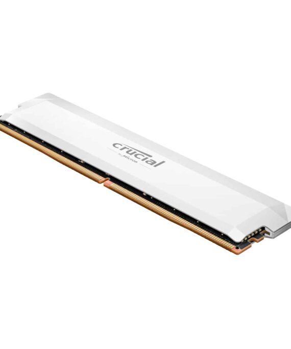 Crucial CP32G64C40U5W wr 02a.jpg