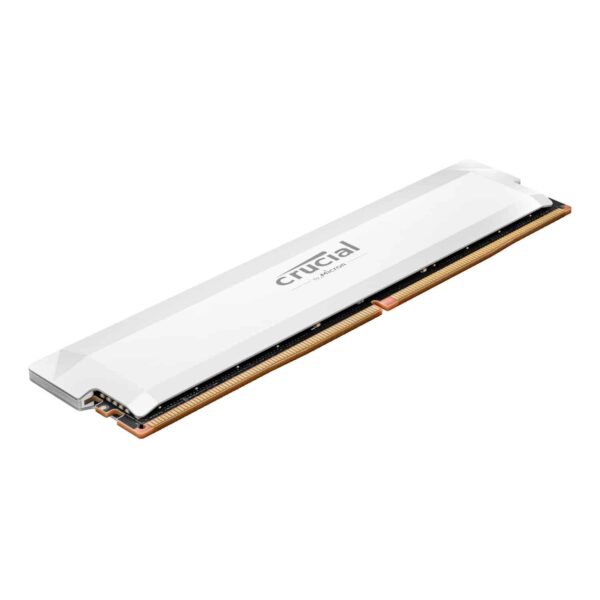 Crucial Cp32G64C40U5W Wr 03A.jpg