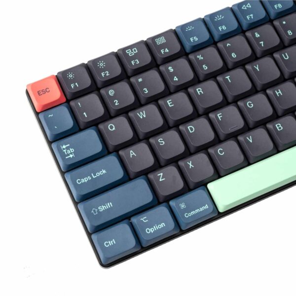 Pbt 62 Wr 0.Jpg