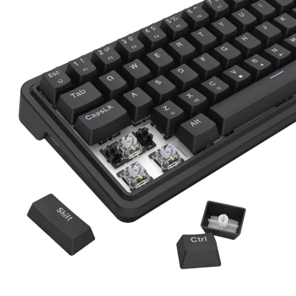 Rd K709 Rgb Wr 02.Jpg