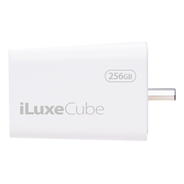 Patriot Iluxe Cube 256Gb Type-C Smart Backup Solution - White
