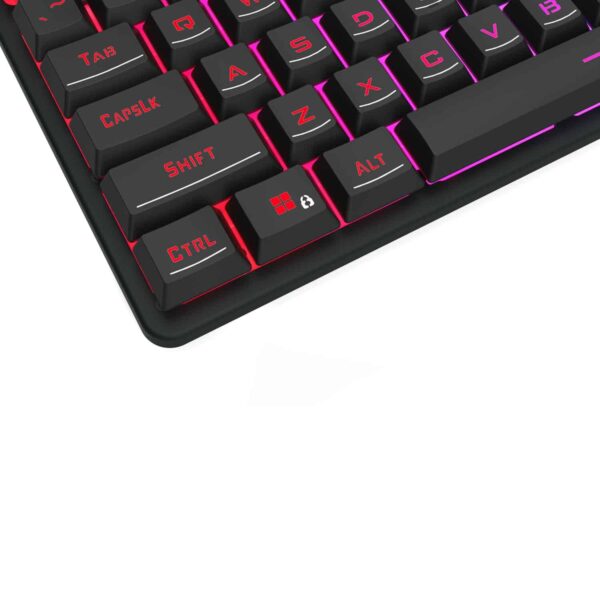 Rd K521 Rgb Wr 05.Jpg
