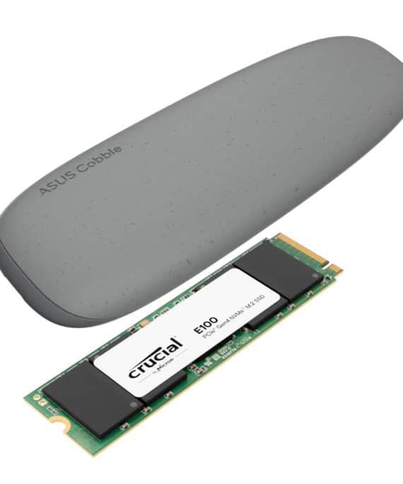 Asus Cobble M.2 SSD Type-C Enclosure and Crucial E100 2TB NVMe Bundle - Grey