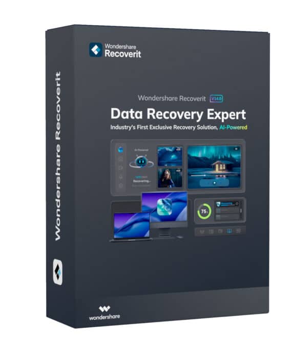 Wondershare Recoverit Data Recovery Expert for Windows Individual (Digital Perpetual License)