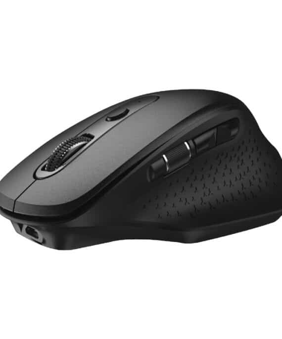 WINX DO More Wireless and Bluetooth Mouse